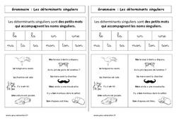 Déterminants singuliers - Cp - Leçon - PDF gratuit à imprimer