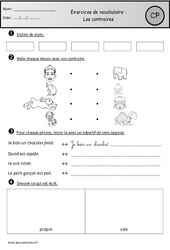 Révisions - Contraires – Cp – Vocabulaire – Cycle 2 - PDF à imprimer