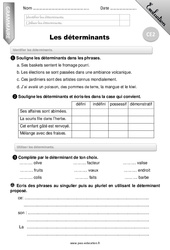 Déterminants - Evaluation - Bilan - Ce2 - PDF à imprimer