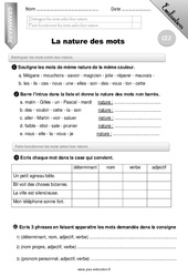 Nature des mots - Ce2 - Evaluation - Bilan - PDF à imprimer