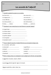 Accords de l'adjectif - Cm1 - Exercices  - PDF à imprimer