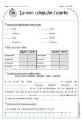 Singulier - Pluriel - Ce1 - Exercices avec correction - PDF à imprimer