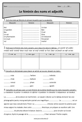Féminin des adjectifs et des noms - Cm2 - Exercices corrigés - PDF à imprimer