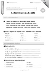 Féminin des adjectifs  - Ce2 - Evaluation - Bilan - PDF à imprimer
