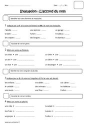 Accord du nom - féminin, masculin - singulier, pluriel - Ce1 - Evaluation - PDF à imprimer