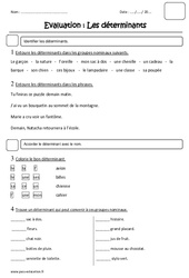 Déterminants - Ce1 - Evaluation - PDF à imprimer