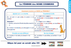 Le féminin des noms au Ce2 - Leçon, trace écrite - PDF gratuit à imprimer