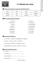 Le féminin des noms au Ce2 - Exercices, révisions - PDF à imprimer