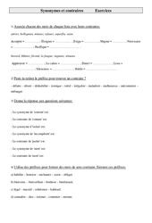 Synonymes et contraires - Cm2 - Exercices - Vocabulaire - PDF à imprimer
