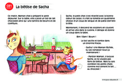 La bêtise de Sacha – CE1 – Lecture compréhension – Histoire illustrée - Niveau 1 - PDF à imprimer