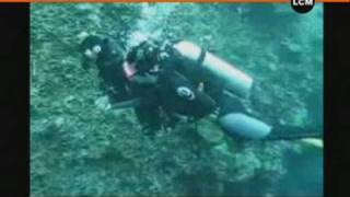 Effets physiologiques de la plongée subaquatique - 2de - Vidéos pédagogiques
