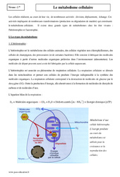Métabolisme cellulaire - Seconde - Cours - PDF à imprimer