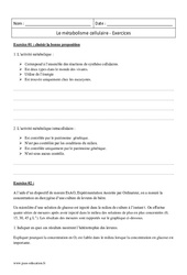 Métabolisme cellulaire - 2nde - Exercices corrigés - PDF à imprimer