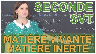 Composition chimique du vivant - 2de - Vidéos pédagogiques