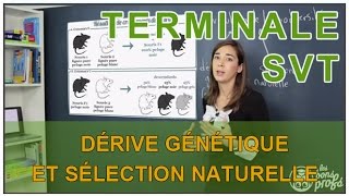 La dérive génétique - 2de - Vidéos pédagogiques