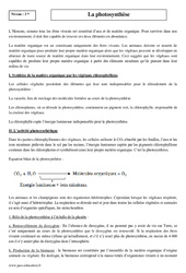 Photosynthèse - Seconde - Cours - PDF à imprimer