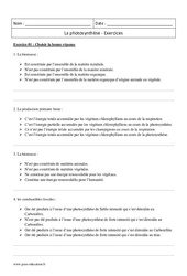 Photosynthèse - 2nde - Exercices corrigés - PDF à imprimer