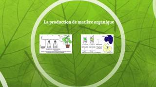 Photosynthèse - 2de - Vidéos pédagogiques