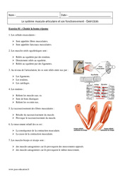 Fonctionnement du système musculo-articulaire - 2nde - Exercices corrigés - PDF à imprimer