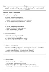 Boucle de régulation de la pression artérielle - 2nde - Exercices corrigés - PDF à imprimer