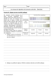 Pression artérielle - 2nde - Exercices corrigés - PDF à imprimer