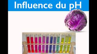 Molécules organiques et couleurs - Première - Vidéos pédagogiques