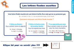 Les lettres finales muettes - Ce2 - Leçon, trace écrite <small style='color:inherit;'>(téléchargement gratuit)</small>