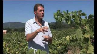 Pratiques alimentaires collectives - Première - Vidéos pédagogiques
