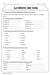 Féminin des noms - Ce2 - Exercices  - PDF à imprimer