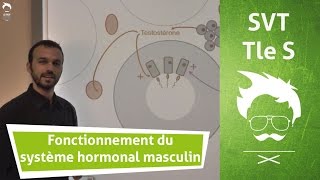 Sexualité et procréation - Première - Vidéos pédagogiques