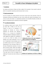 Sexualité et bases biologiques du plaisir - Première - Cours - PDF à imprimer