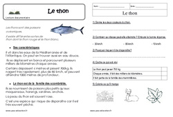 Le thon - Cp - Lecture compréhension - PDF à imprimer