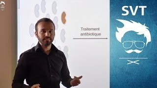 Variation génétique bactérienne et résistance aux antibiotiques - Première - Vidéos pédagogiques