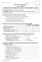 Démonstratifs, possessifs, indéfinis, interrogatifs et relatifs - Cm2 - Bilan sur les pronoms - PDF à imprimer