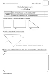 Périmètre - Cm1 - Bilan - PDF à imprimer