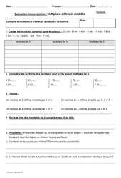 Multiples et critères de divisibilité - Cm2 - Bilan - PDF à imprimer