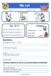My cat - Ce1 - Ce2 - Cm1 - Cm2 - Anglais - Lecture - Level 1 - PDF à imprimer