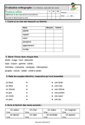 Le masculin et le féminin du nom – Ce1 – Étude de la langue – Evaluation avec les corrigés - PDF à imprimer