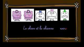 Accords dans le groupe nominal - Cm1 - Classe inversée - Cycle 3