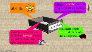 Mot étiquette ou nom générique - Ce2 - Classe inversée - Cycle 2