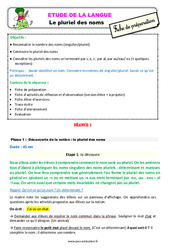 Le pluriel des noms – Ce2 – Étude de la langue – Fiche de préparation - PDF à imprimer