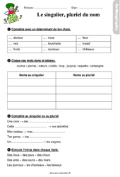 Le singulier, pluriel du nom – Ce1 – Étude de la langue – Exercices avec les corrigés - PDF à imprimer
