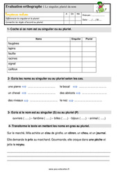 Le singulier, pluriel du nom – Ce1 – Étude de la langue – Evaluation avec les corrigés - PDF à imprimer