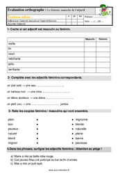Le féminin des adjectifs – Ce1 – Étude de la langue – Evaluation avec les corrigés - PDF à imprimer