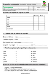 Le singulier, pluriel de l’adjectif – Ce1 – Étude de la langue – Evaluation avec la correction  - PDF à imprimer