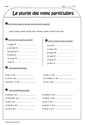Pluriel des noms particuliers - Ce2 - Exercices corrigés - PDF à imprimer