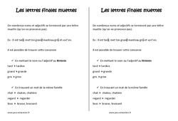 Lettres finales muettes - Ce2 - Leçon <small style='color:inherit;'>(téléchargement gratuit)</small>