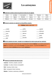 Les antonymes - Cm1 - Exercices, révisions - PDF à imprimer