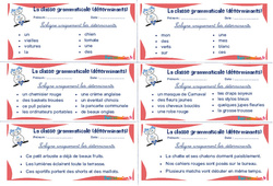 Les déterminants - Ce1 - Ce2 - Rituels - La classe grammaticale - PDF à imprimer