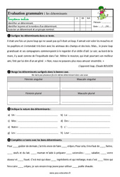Les déterminants – Ce2 – Étude de la langue – Evaluation avec la correction - PDF à imprimer